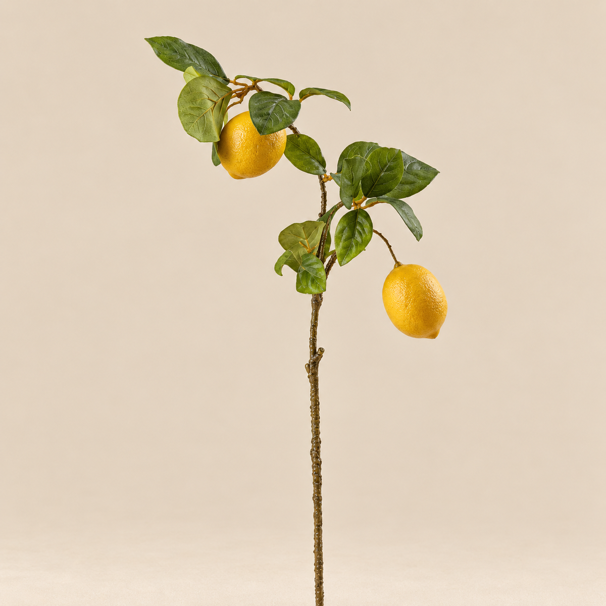 Ramo di Limone con Frutti H63 cm