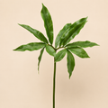 Arisaema Duke Artificiale H.94 cm