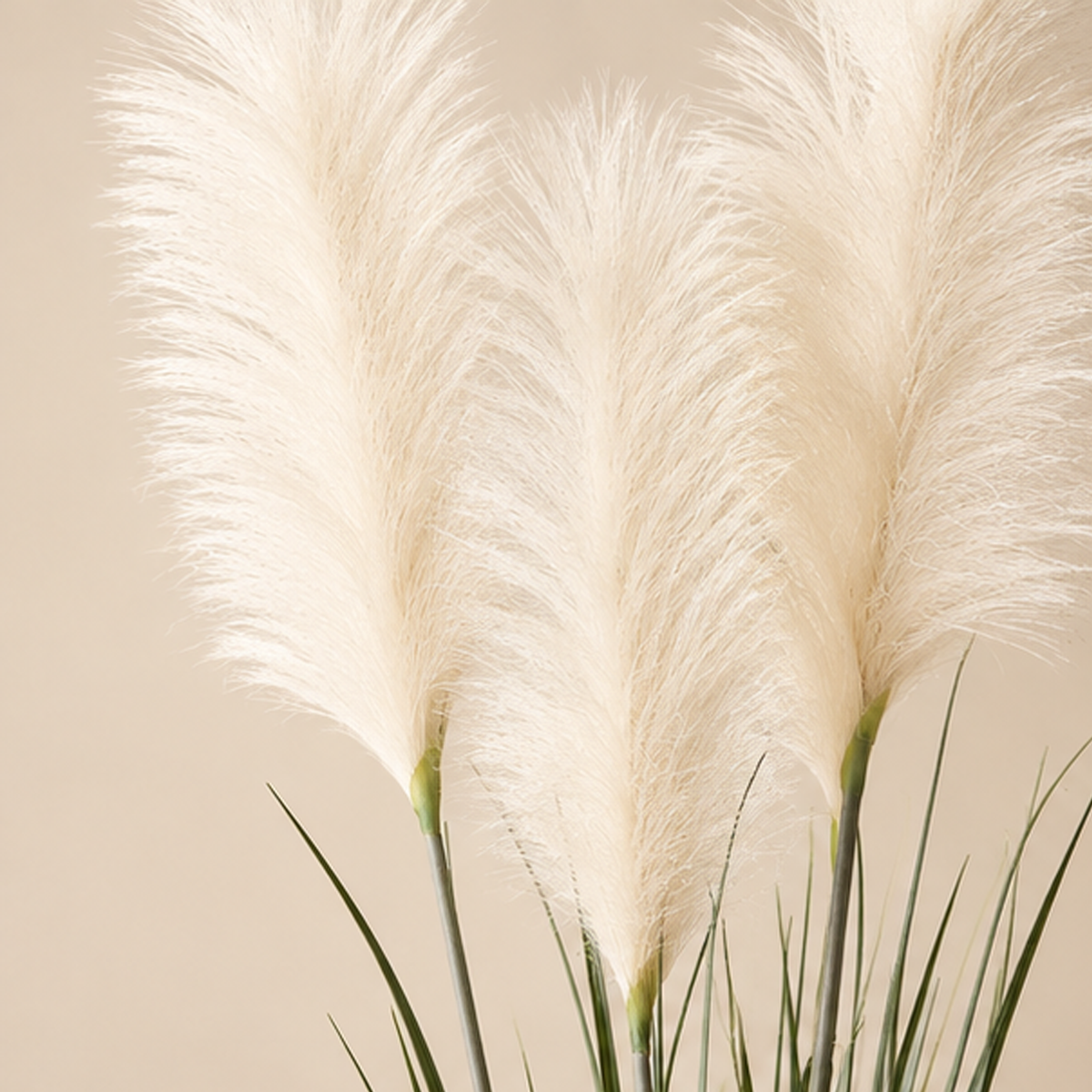 Festuca Pampas Ramo Artificiale EDG H 180 cm