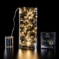 Catena Luminosa MicroLED 100 LED Bianco Caldo 7,4 m a Intermittenza a Batteria - EDG