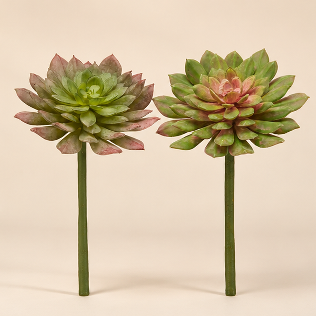Echeveria Olis Real Touch EDG h.20 cm Ø 12 cm