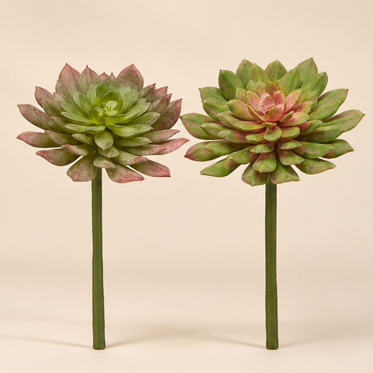 Echeveria Olis Real Touch EDG h.20 cm Ø 12 cm