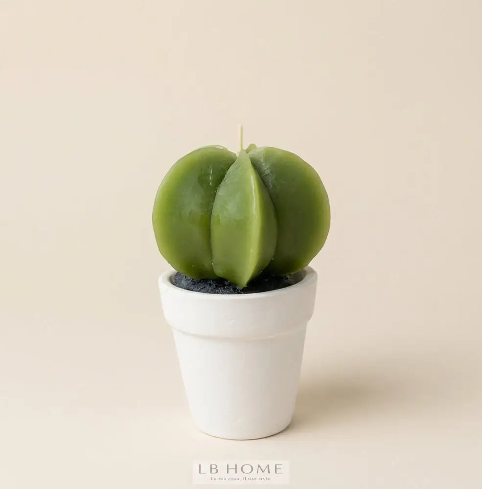 Candela decorativa cactus in vaso bianco h 14 cm Candela