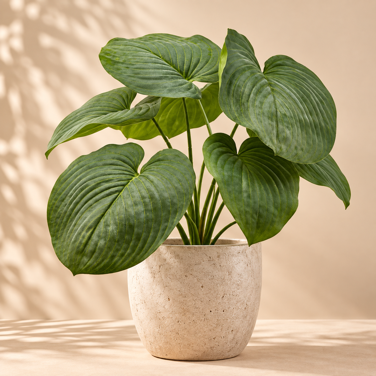 Hosta Artificiale 7 Foglie H 66 cm