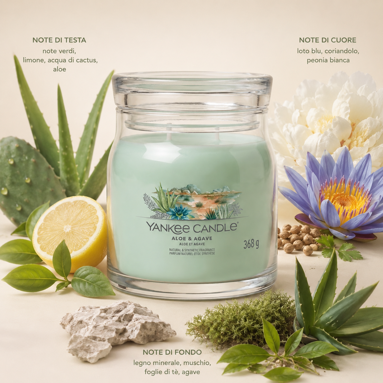 Yankee Candle Giara 368gr Aloe & Agave