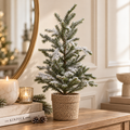 Pino West Innevato Artificiale con Vaso H 48 cm - EDG