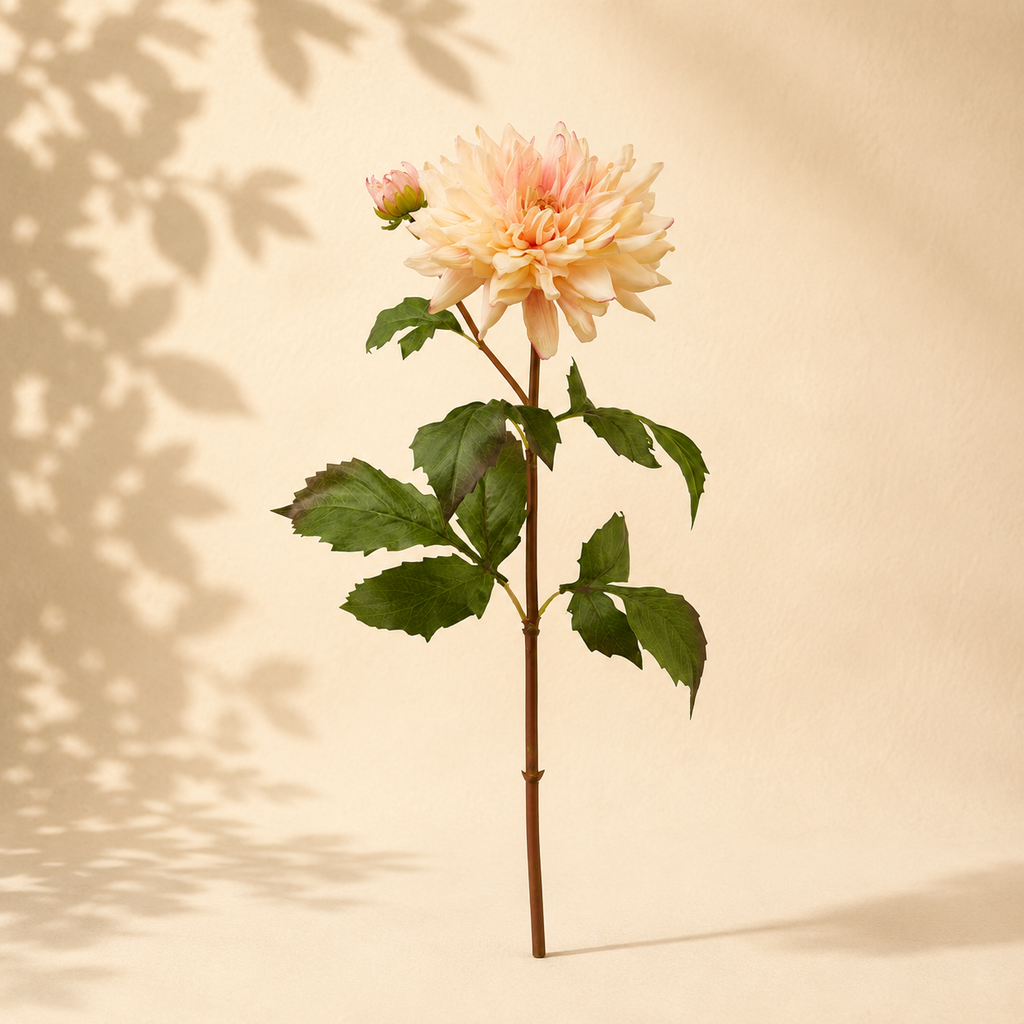 Dalia h.60cm (Copia)
