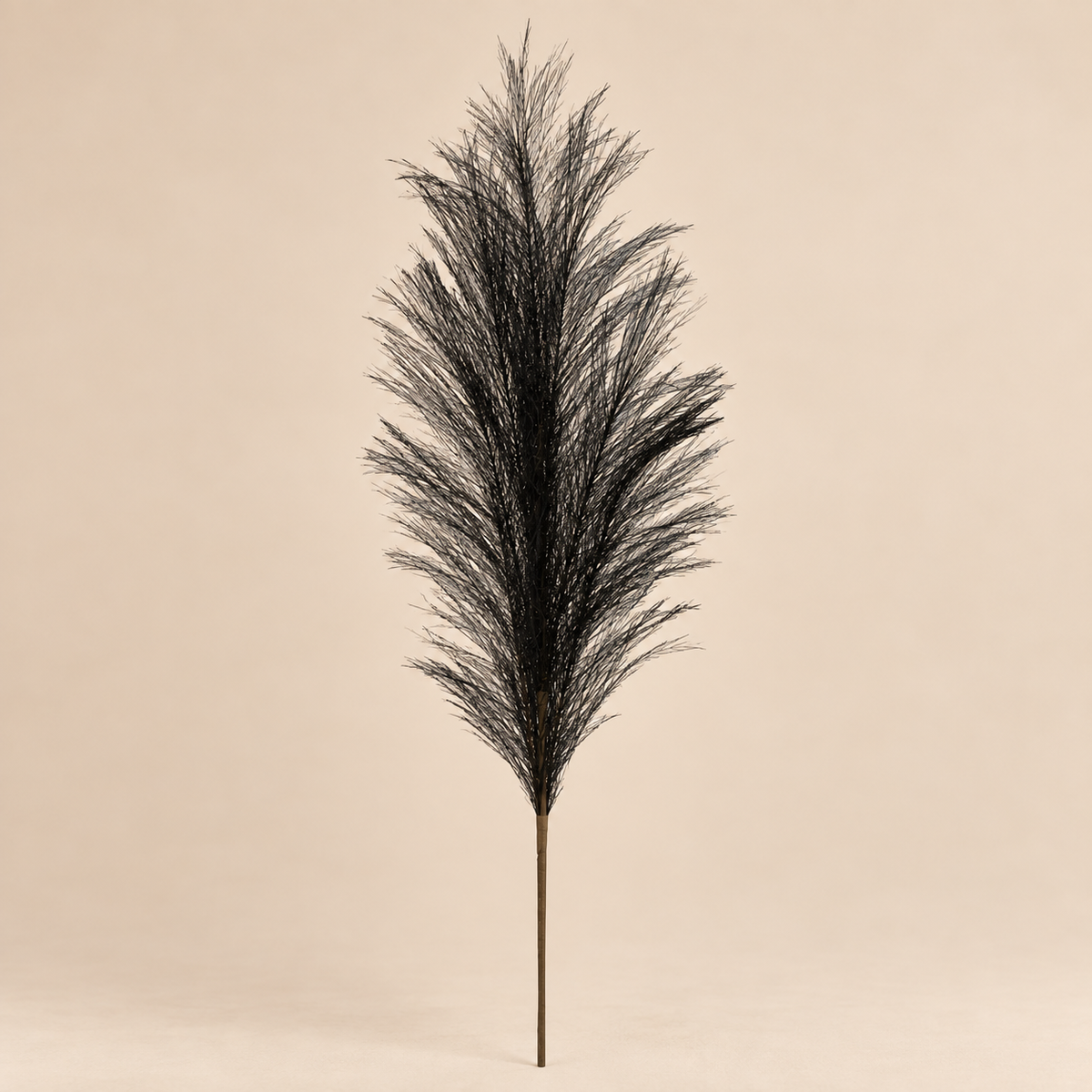 Piuma Decorativa Nera h.70cm