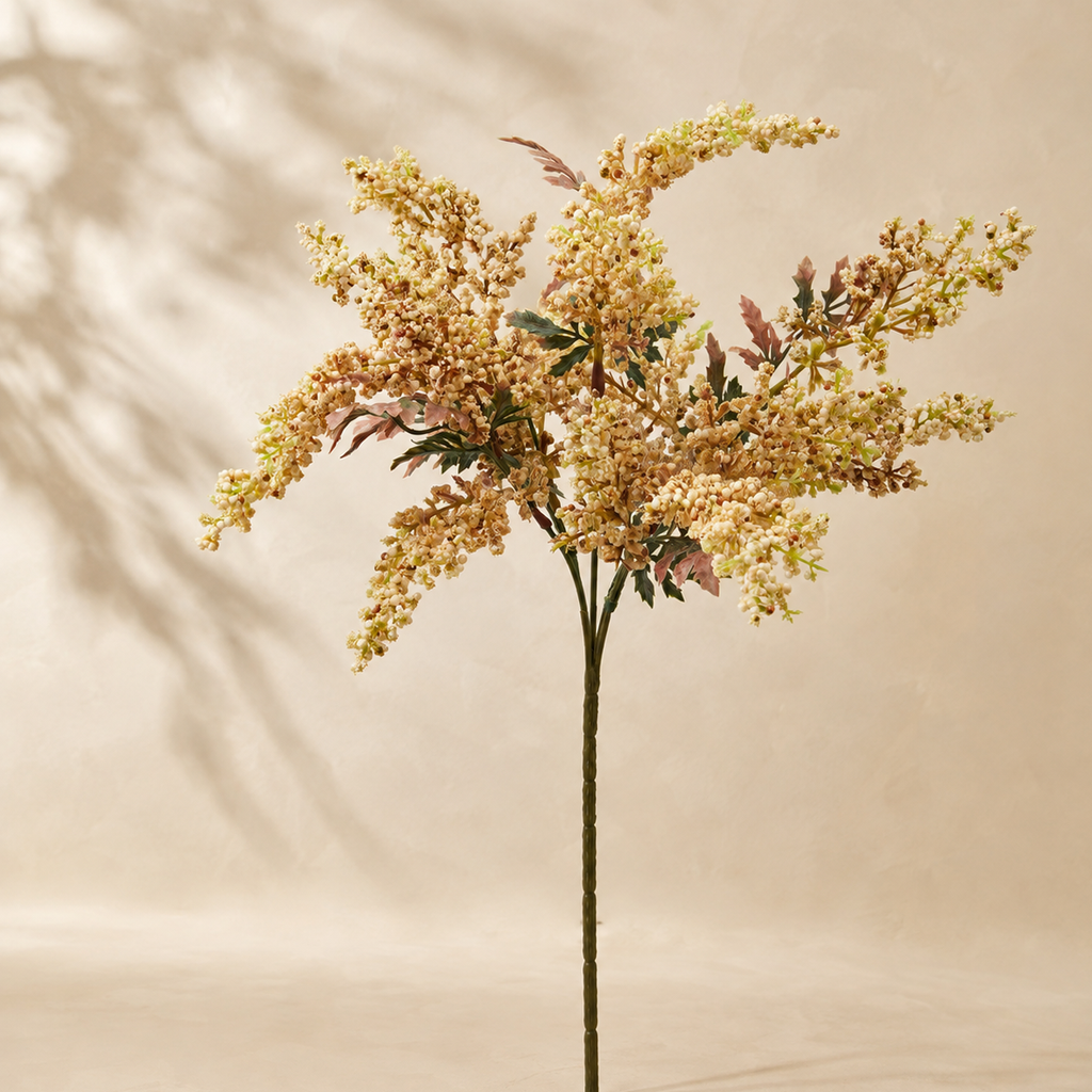 Sorgus Olis Cespuglio – H 32 cm