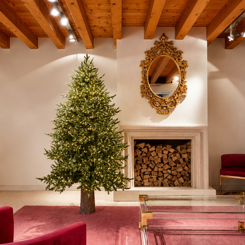 Albero di Natale Luxury EDG con 4000 LED h.210cm