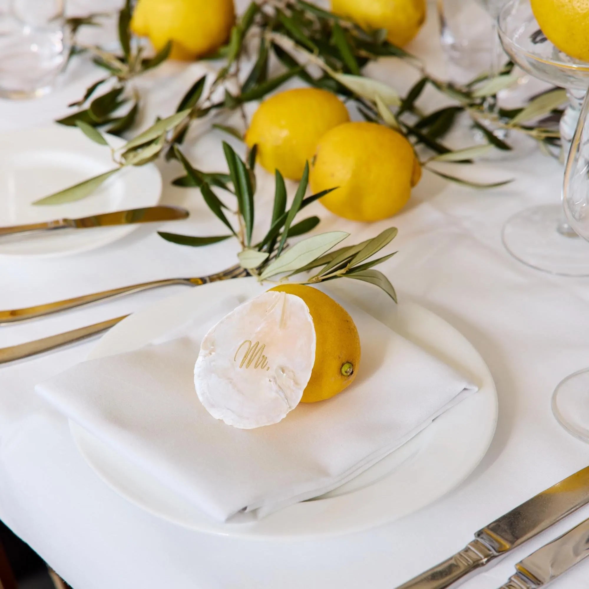 Conchiglie Capiz decor