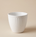 Latte cup Alice bianca