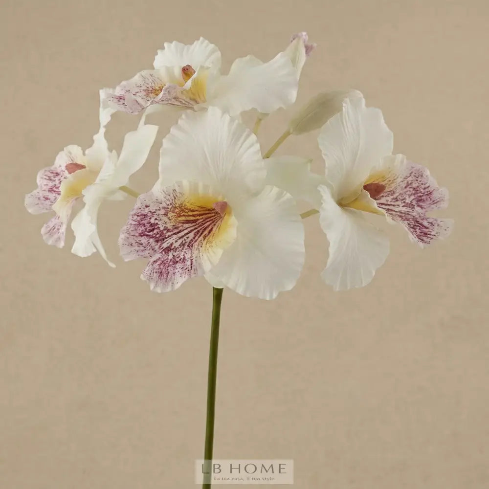 Mazzo orchidea h.43 Piante e fiori artificiali