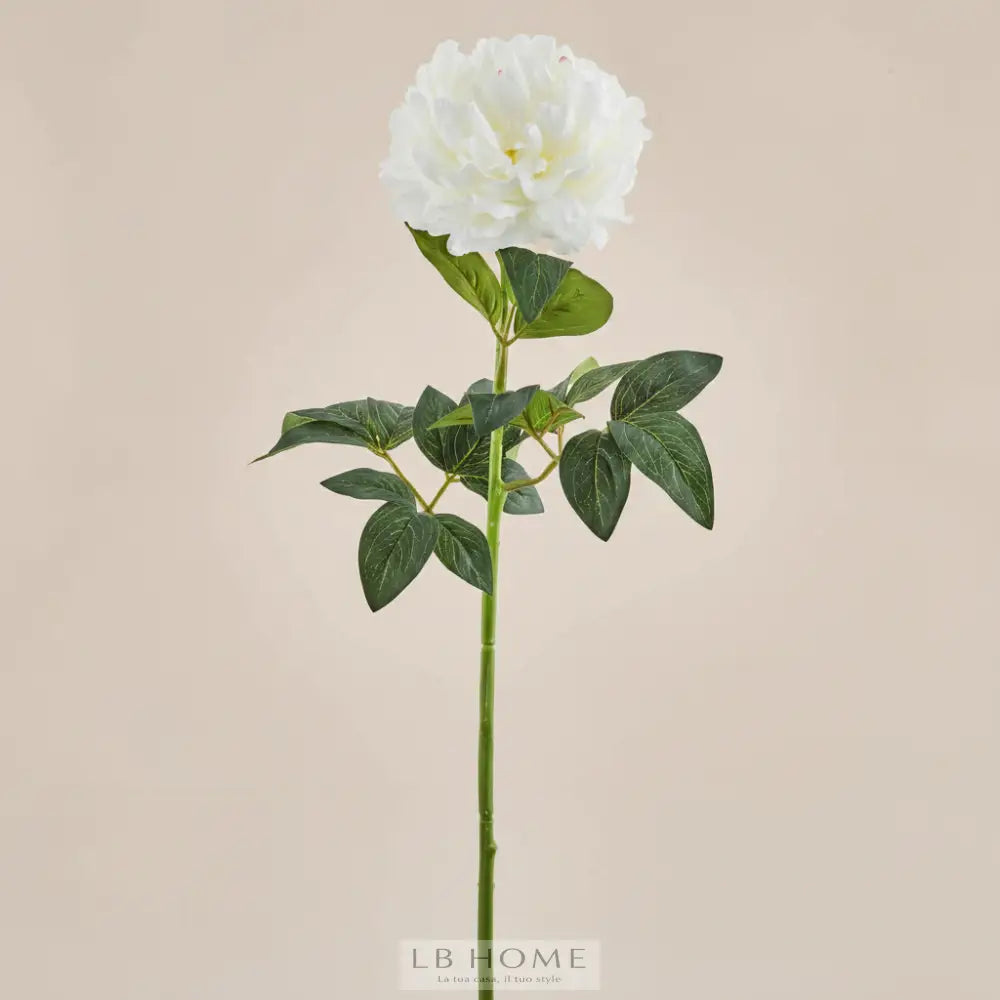 Peonia Rex bianca Piante e fiori artificiali