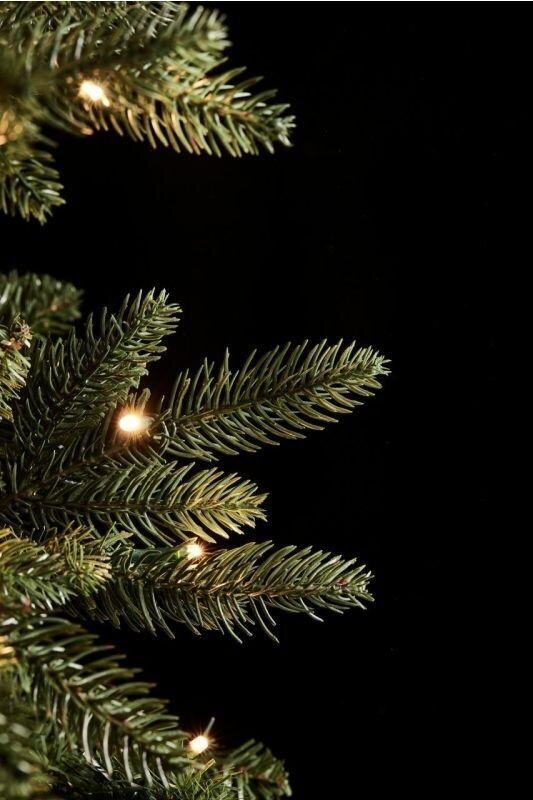 Albero di Natale Slim EDG con 260 mini LED h.150cm