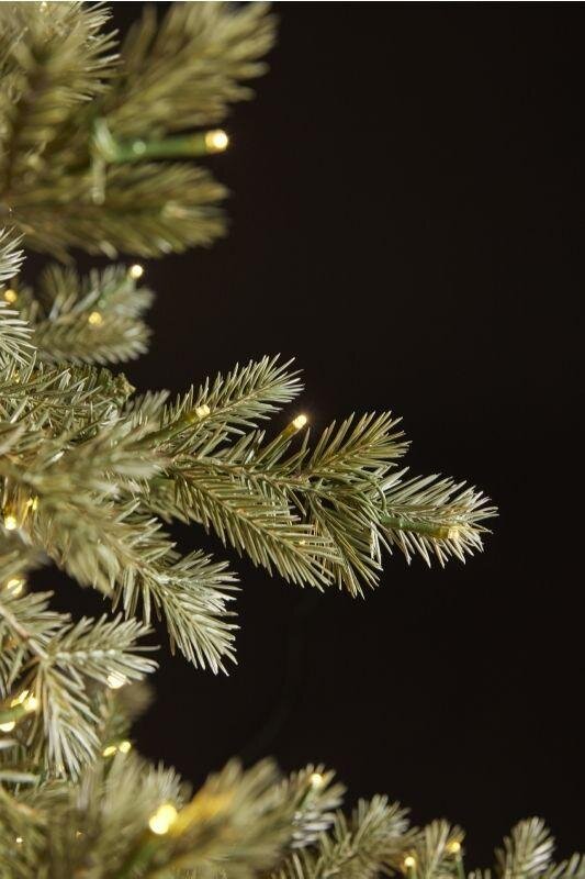 Albero di Natale Argentato EDG con 5000 Mini LED h.240 cm