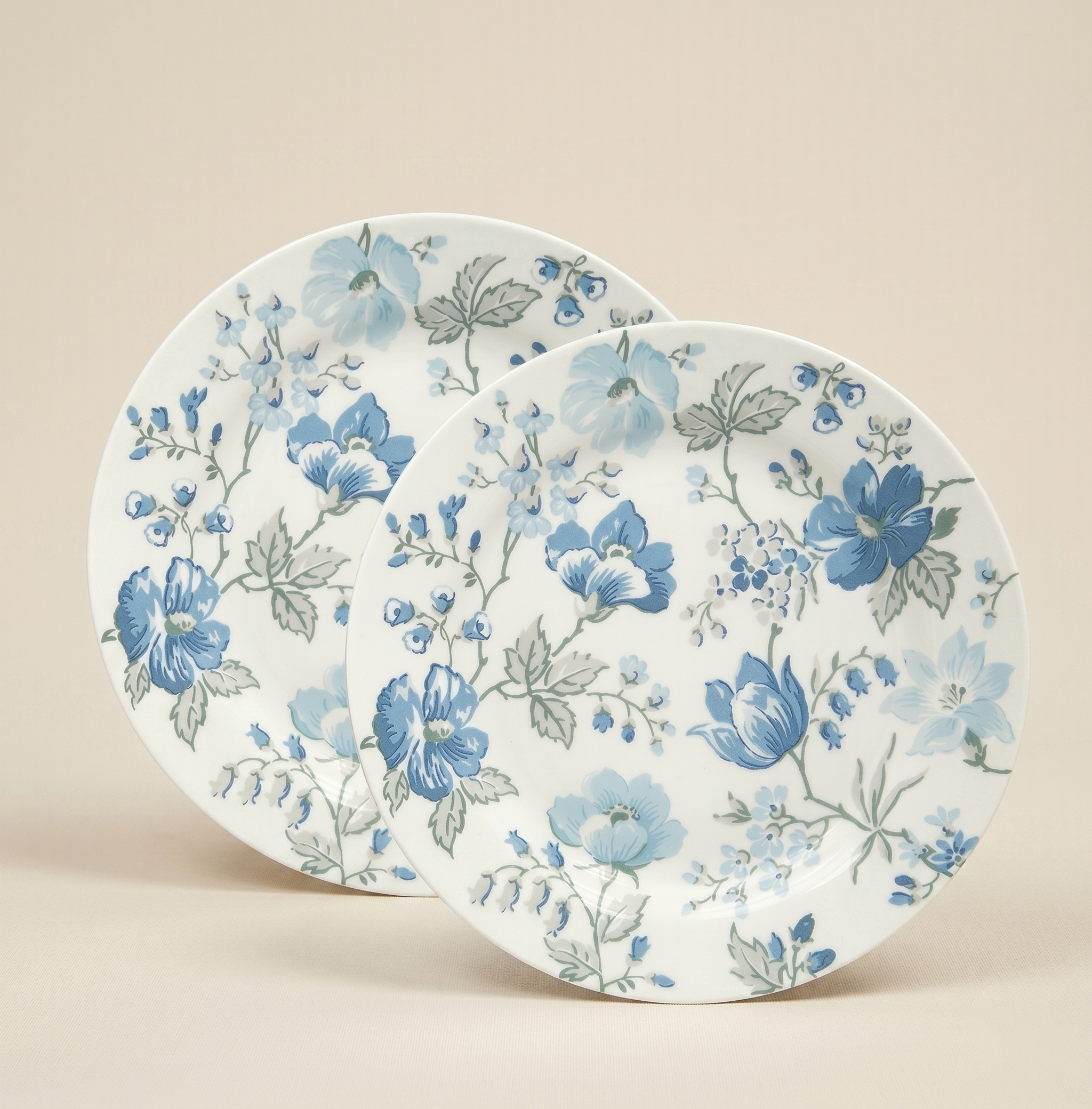 Set 2 piatti Donna