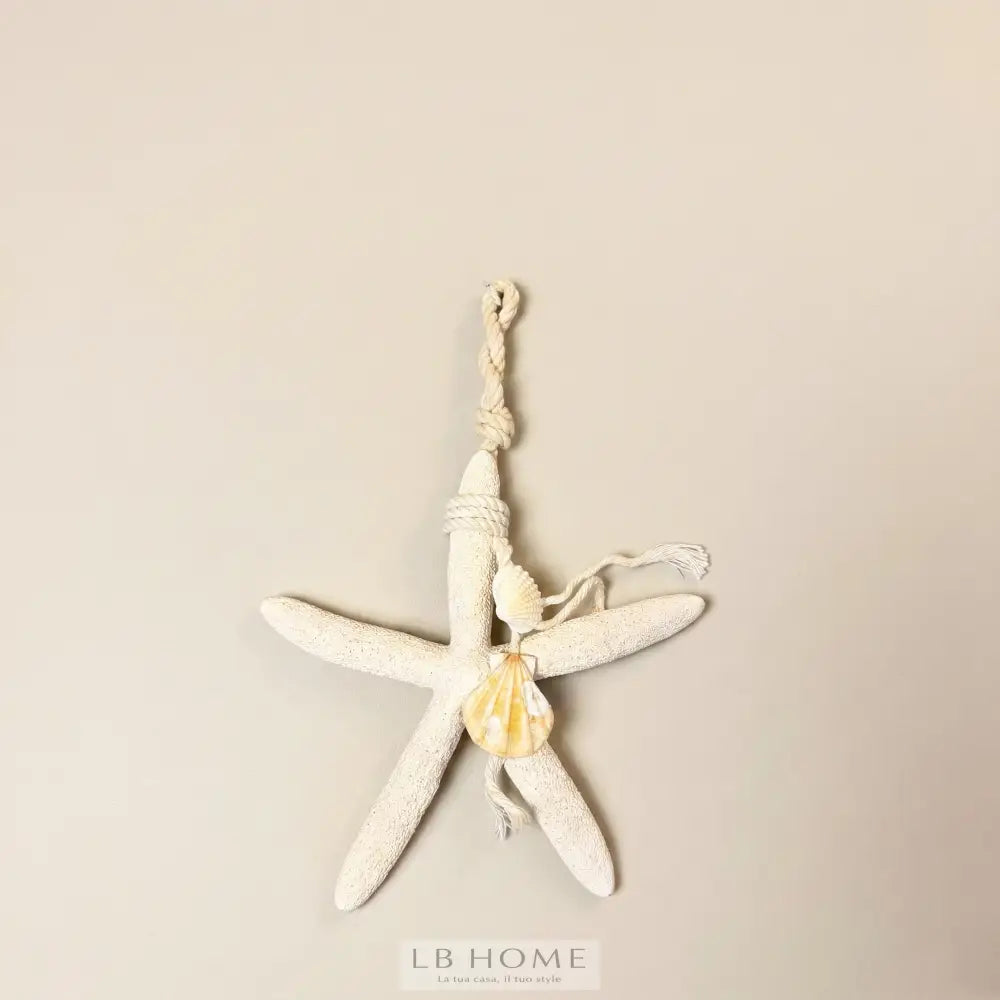Stella marina Decor