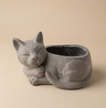 Vaso gatto