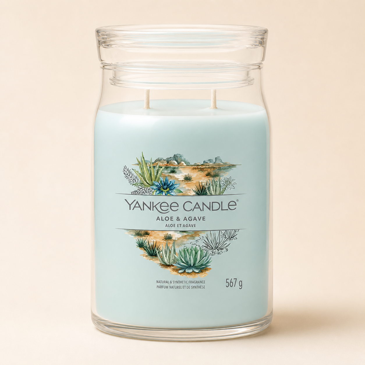 Yankee Candle Giara 567gr Aloe & Agave