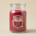 Yankee Candle Giara 567gr Santa on Skis