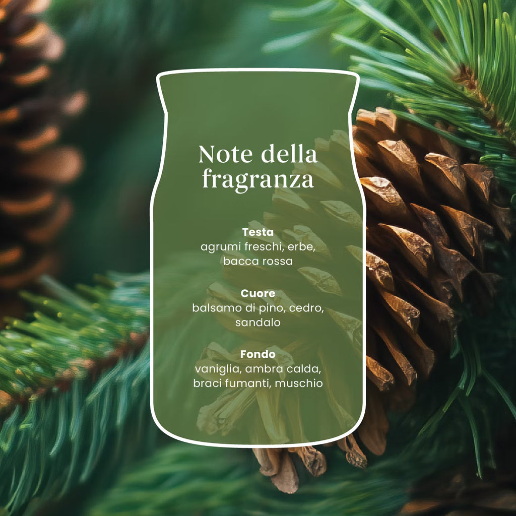 Candela Profumata Balsam & Cedar Fireside Giara Piccola Signature 110 g - Yankee Candle