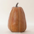 Zucca decorativa Collezione "Melange d'autunno"
